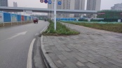 周边道路实景图