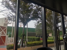 诚心出售 毛坯房 高楼层 契税已满二