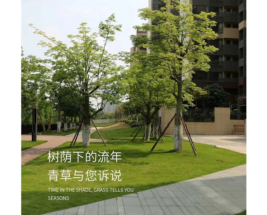 小区相关图