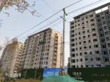 在建工地施工进度实景图