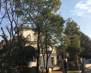 湘潭碧桂园2室1厅南北