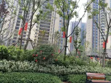 碧桂园潭洲府 3室2厅 南 北