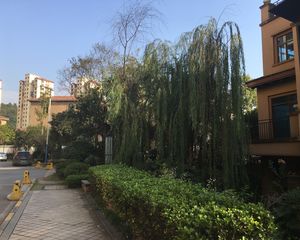 湘潭碧桂园4室2厅南