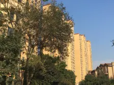 湘潭碧桂园 3室2厅 南 北