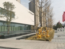 花园洋房送给你 新小区 复式洋房 60平左右花园