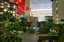 宝安兴隆椰林湾实景图