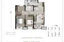 金科时代天悦户型图