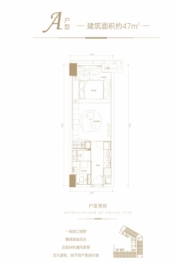 金地商置湘江峯汇1室1厅1厨1卫建面47.00㎡