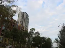 小区新,人车分流,户型周正,出门有公交车,购物便利