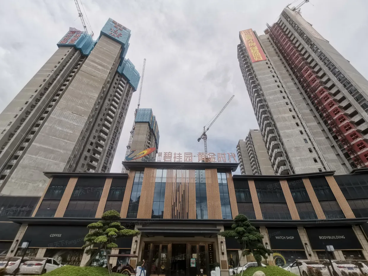 鹤山碧桂园黄金时代