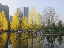 次新房 双卫生间 商圈成熟 交通便利 南北通透 带电梯