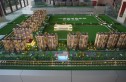 山海湾·五期三区实景图