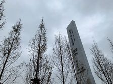 保利和光屿湖2室1厅南