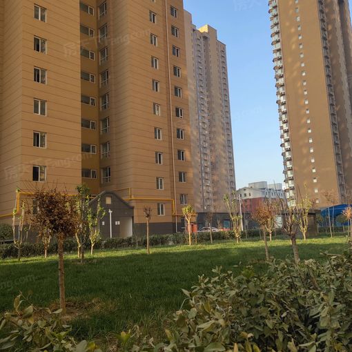  ���⡤���������� 2��2�� ��/�� 