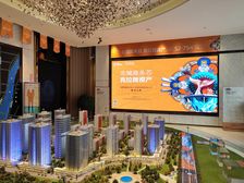 碧桂园 凤凰壹品 精装修 有车位 储藏室