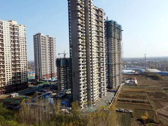 鹏洲 丽城怎么样:听说这个开发商很有实力,.-定州房天下楼盘点评