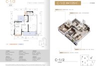 C-1/2户型