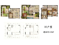 别墅D3建筑面积140㎡