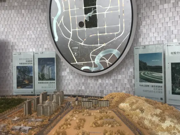 香港置地·衿湖翠林实景图