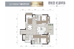 碧桂园·松湖明珠3室2厅1厨2卫建面102.00㎡