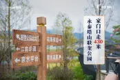 周边配套-永泰塔山联奎公园4