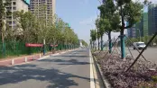 周边道路实景图