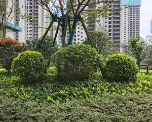 清华房西雅旁地铁口公园旁崭新未住小区中间楼栋