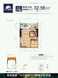 甲天下新城1室1厅1厨1卫建面32.56㎡