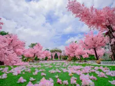 三塘镇国悦九曲湾,碧湖园一期。