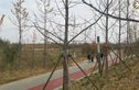 海信文墨里实景图