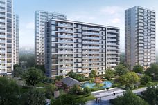 荣安·林语沁雪[奉化]