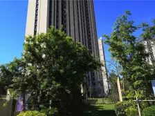 招商臻园二期 3室2厅 南 北