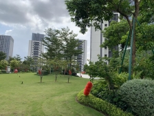 碧桂园苹果 保养八成新 朝东 早起有太阳 便宜卖