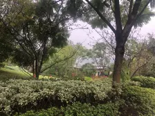 悦来 首地江山赋望山院四房148万