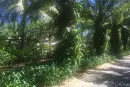 香水湾1号实景图