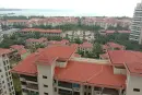 白金海岸实景图