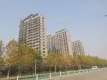 在建工地实景图