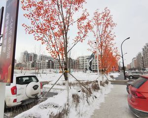 :房通透户型,一梯两户,,装修品质高,大两室