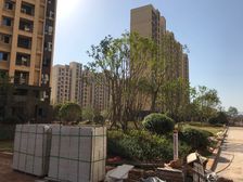 中鼎山水华庭 4室2厅 南