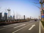 能源金贸区道路