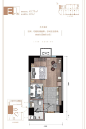 中核·鹅岭6号建面45.72㎡