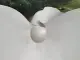 阳光城象屿登云湖