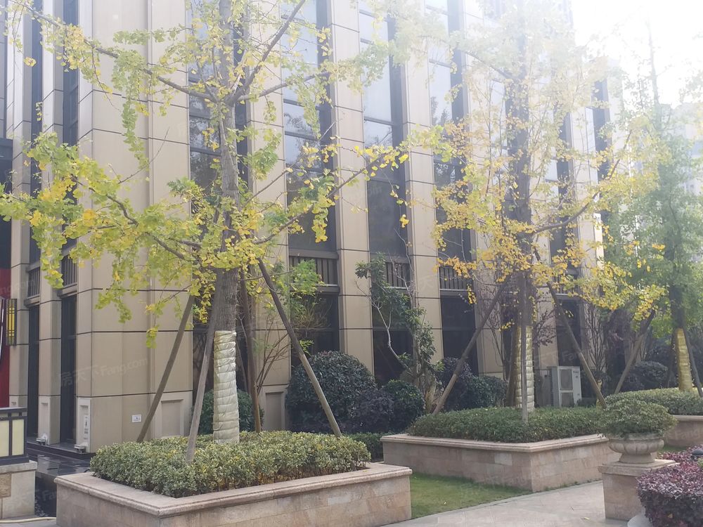 小区相关图