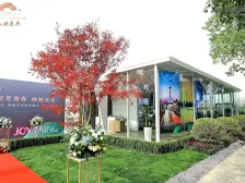 城南·中交春映东吴·3室·2厅