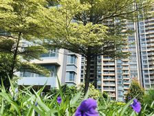 莞北红盘阔景大宅三江汇聚沿江而建