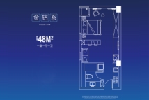 新龙江城市广场48平米户型