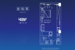 新龙江城市广场1室1厅1卫建面48.00㎡