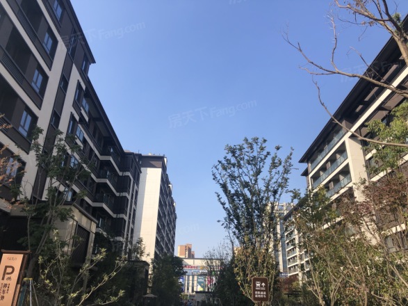 华建正茂府