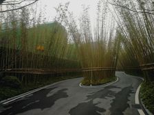 蓝光未来 3室1厅 南 北