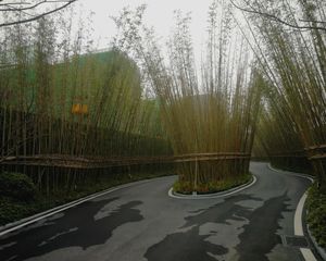 蓝光未来 4室2厅 南